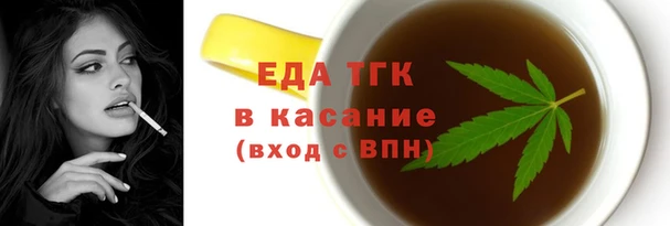 индика Богородицк